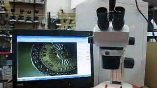 Microscopio estereoscópico Trinocular Schonfeld Optik® modelo XTD 217 T