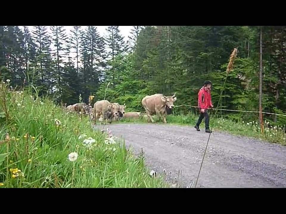 Alpauffahrt 2011