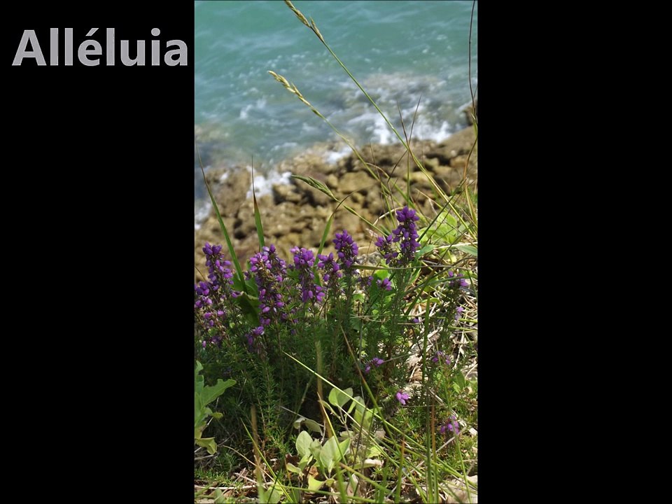 Il est bon de louer Dieu - Glorious