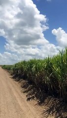 Lindo paisaje /Beautiful landscape