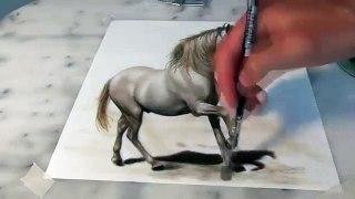 Speed Drawing of a Horse in 3D ! Anamorphic Illusion   Dailymotion Video