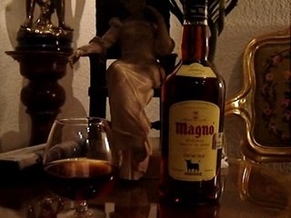 Brandy de Jerez- Magno