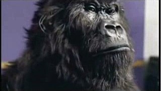 Morty Sill Forex Bias: Gus Gekko the 800 lbs gorilla