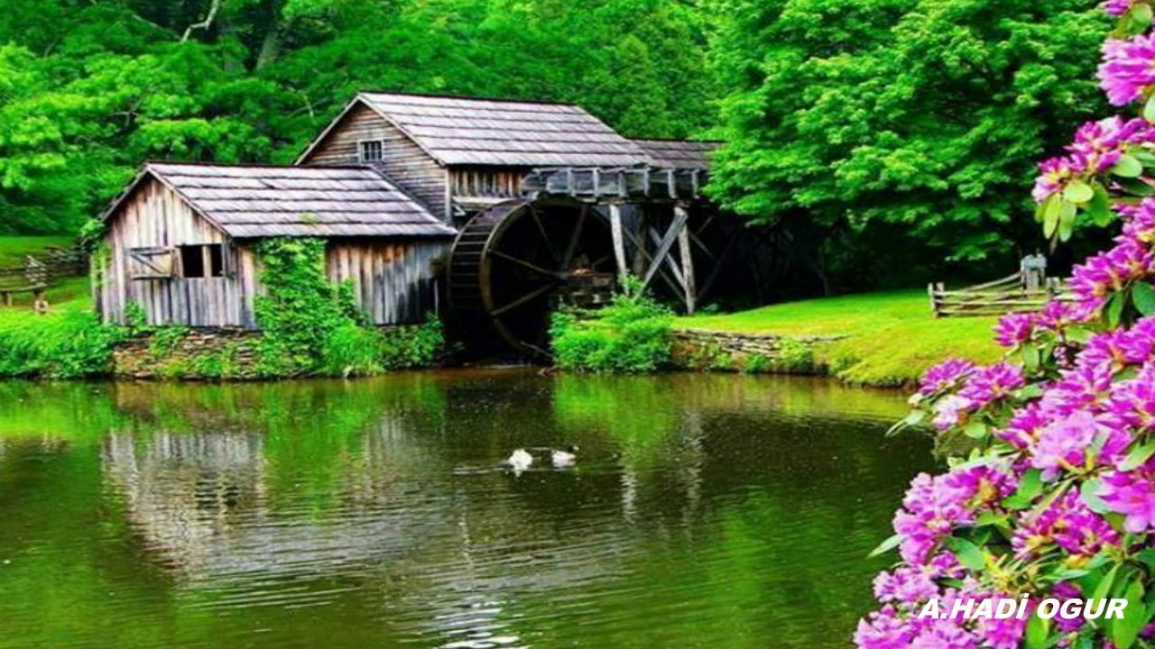 GÜLAY & EFE EVLERİNİN ÖNÜ MERSİN