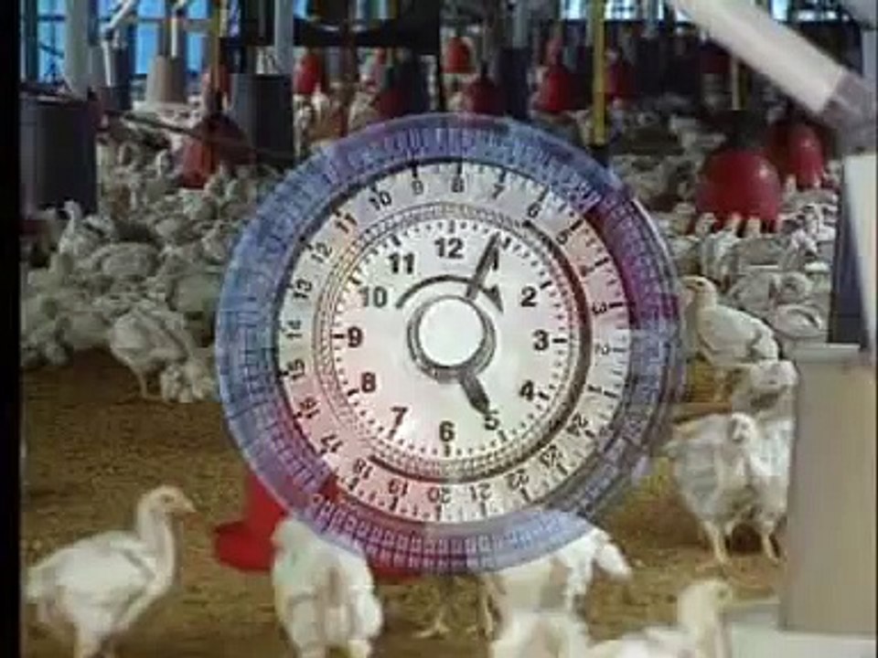 世界まる見え！　衝撃秘密映像　食品の裏側（２）