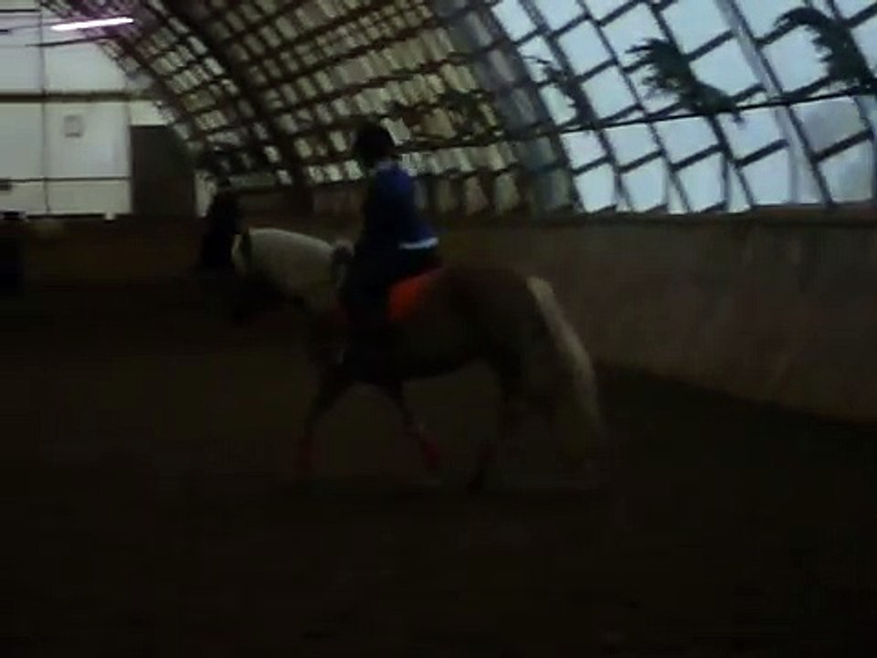 Reitstunde mit Mango