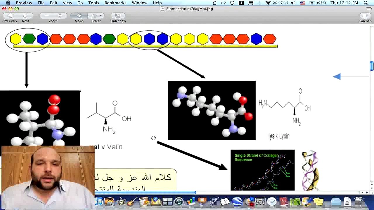 فهم جسم الانسان من القرآن - مخطط توضيحي