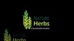 Medicinal & Aromatic Herbs Cultivation in India