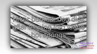 Hiker burned, dog dies after leaping into Idaho hot springs. News 26 Aug