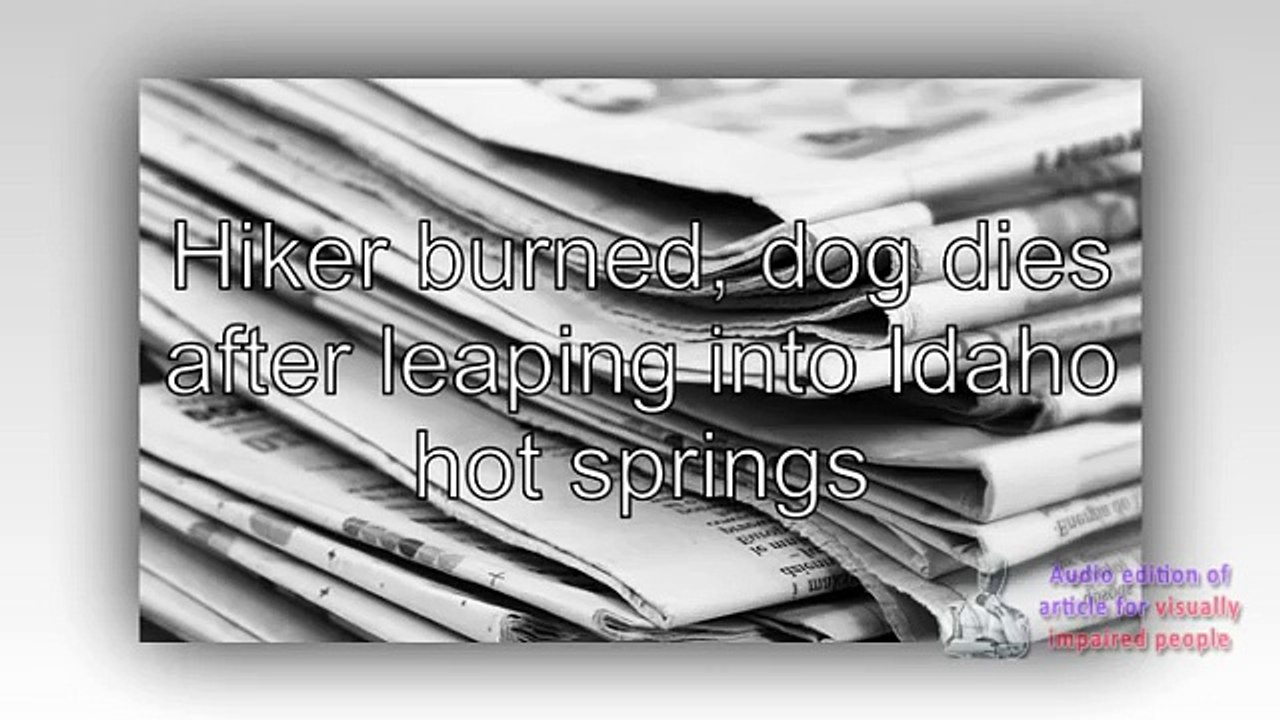 Hiker burned, dog dies after leaping into Idaho hot springs. News 26 Aug