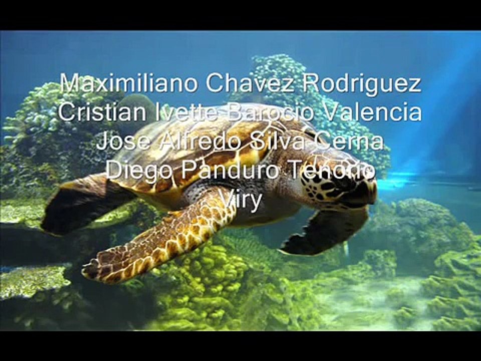 Especiaciòn (biologìa)