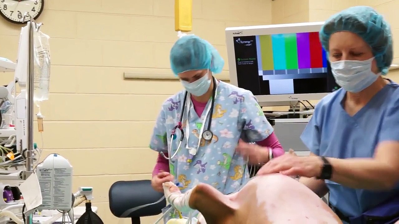 Google Glass at the UW School of Veterinary Medicine