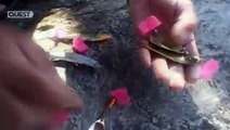 FISHING Jungle Hooks E01P02 India Mountain Monsters - Fishing Video [FULL EPİSODE]