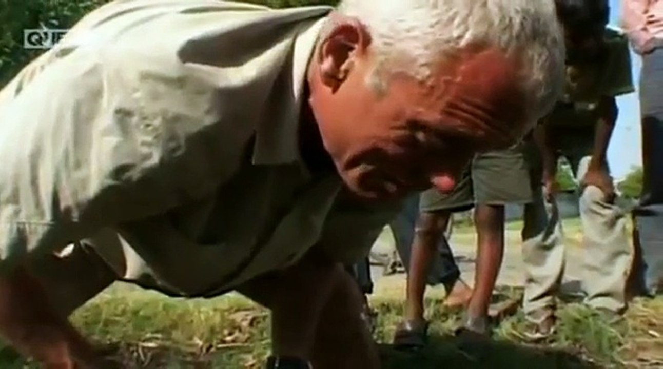 Jungle Hooks E03P01 India Reservoir Cats - Fish Fishing Documentary HUB