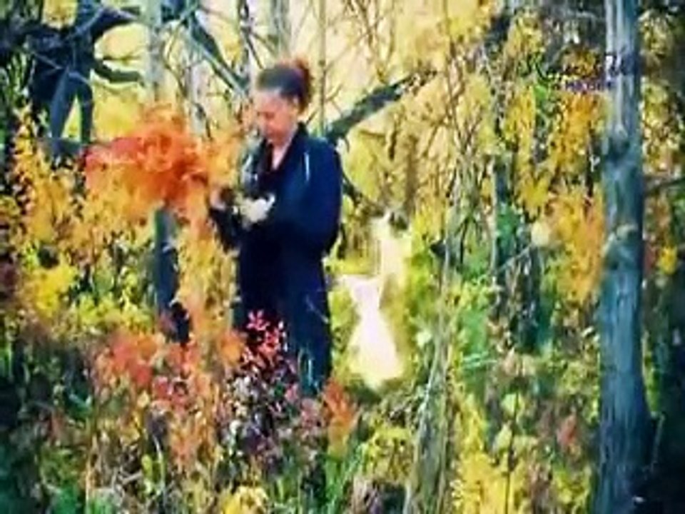 СИНЕВА_ Васил Найденов /Sineva -Vasil Naidenov