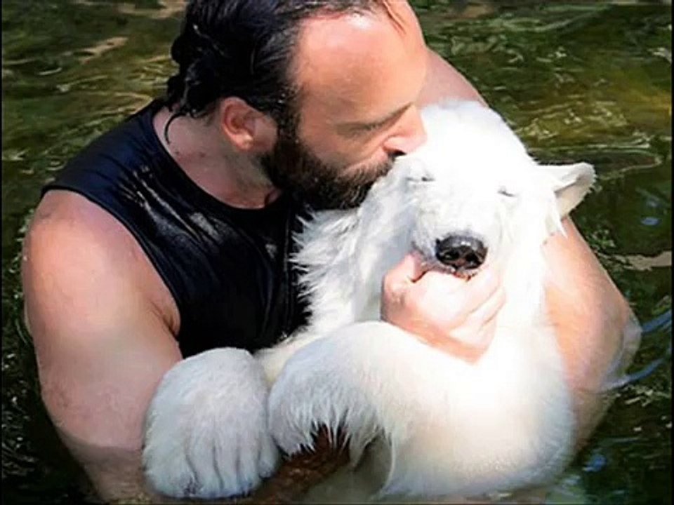 Polar Bear attack in Churchill, Manitoba!