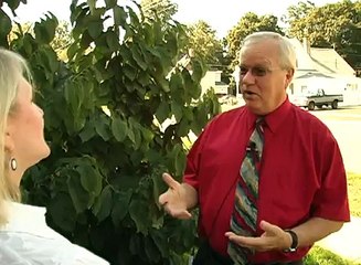 High School Football America - Paw Paw, MI