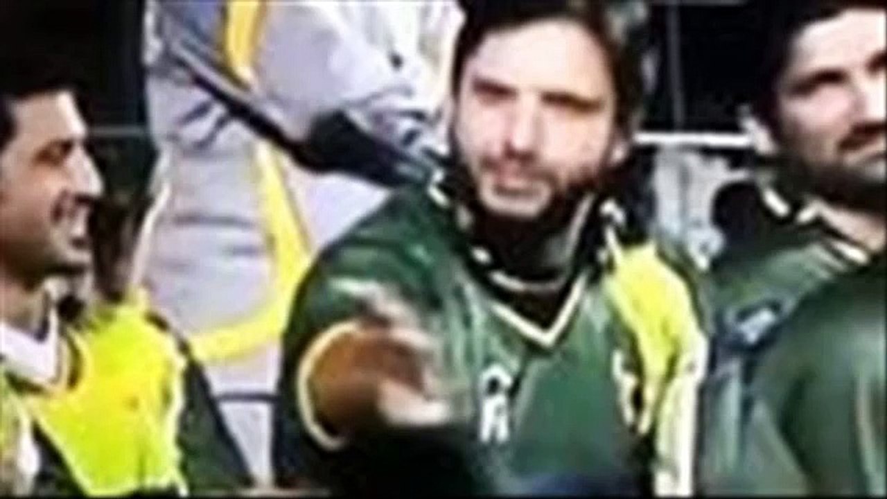 cricket real fight video