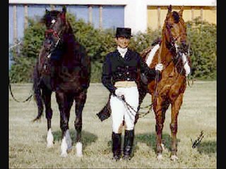 Cass Ole (Black Stallion)