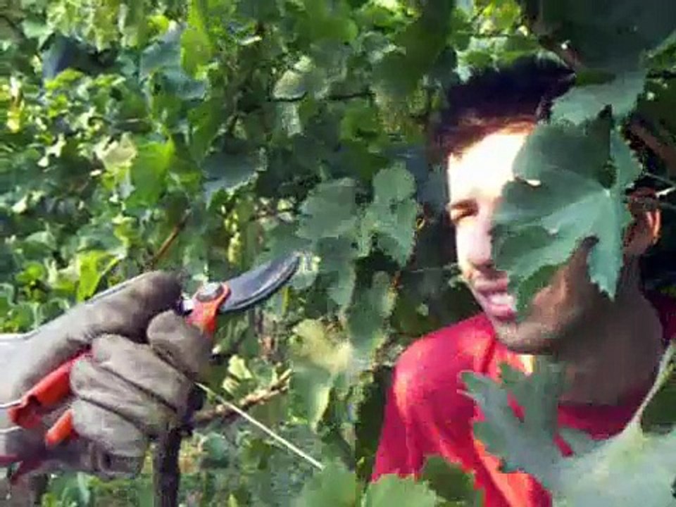 Parodia Pubblicità Sky