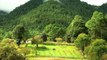 Día Internacional de los Bosques 2015 - Los Bosques y el Cambio Climático