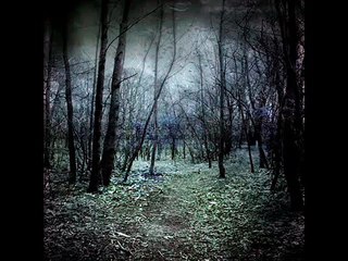 Nox arcana- Ebonshire