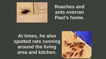 Exterminators Denver, CO