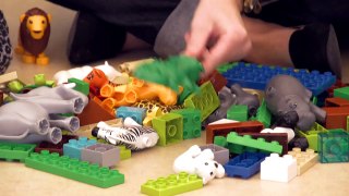 LEGO Education Wild Animals - Animal Characteristics