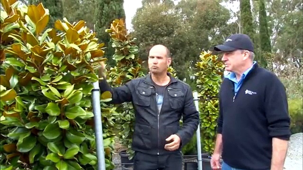 Project Landscape - The Berwick Project