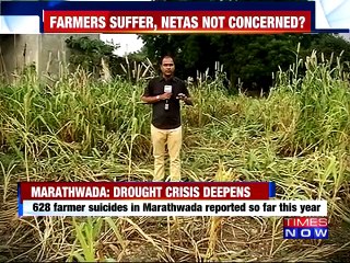 Marathwada reels under drought