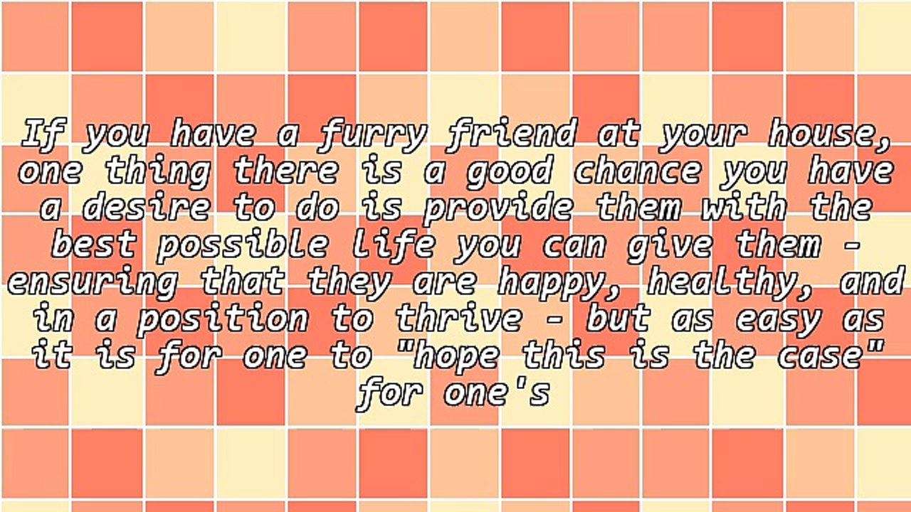 The Best Places Online For Pet Advice