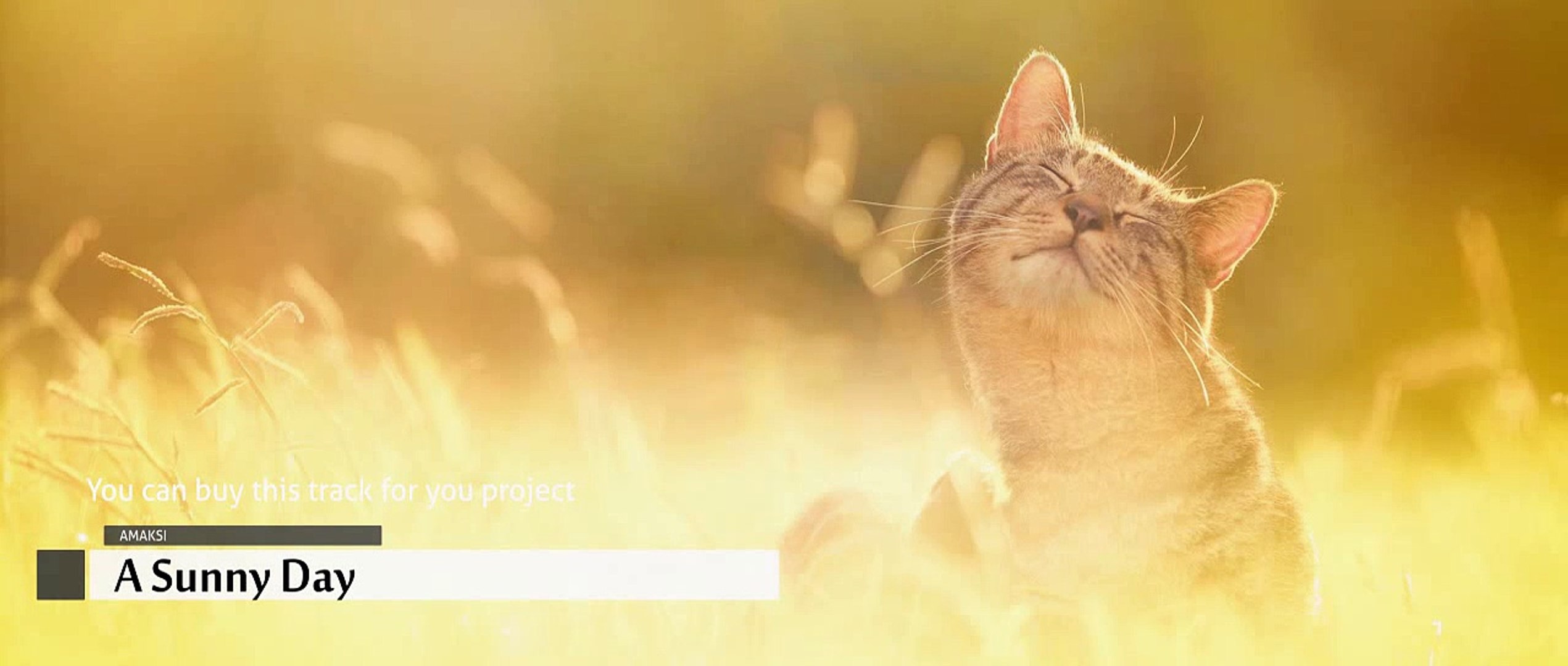 ⁣A Sunny Day (Royalty Free Electronic Background Music)