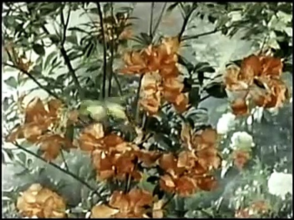 The Space Giants -01- Rodak