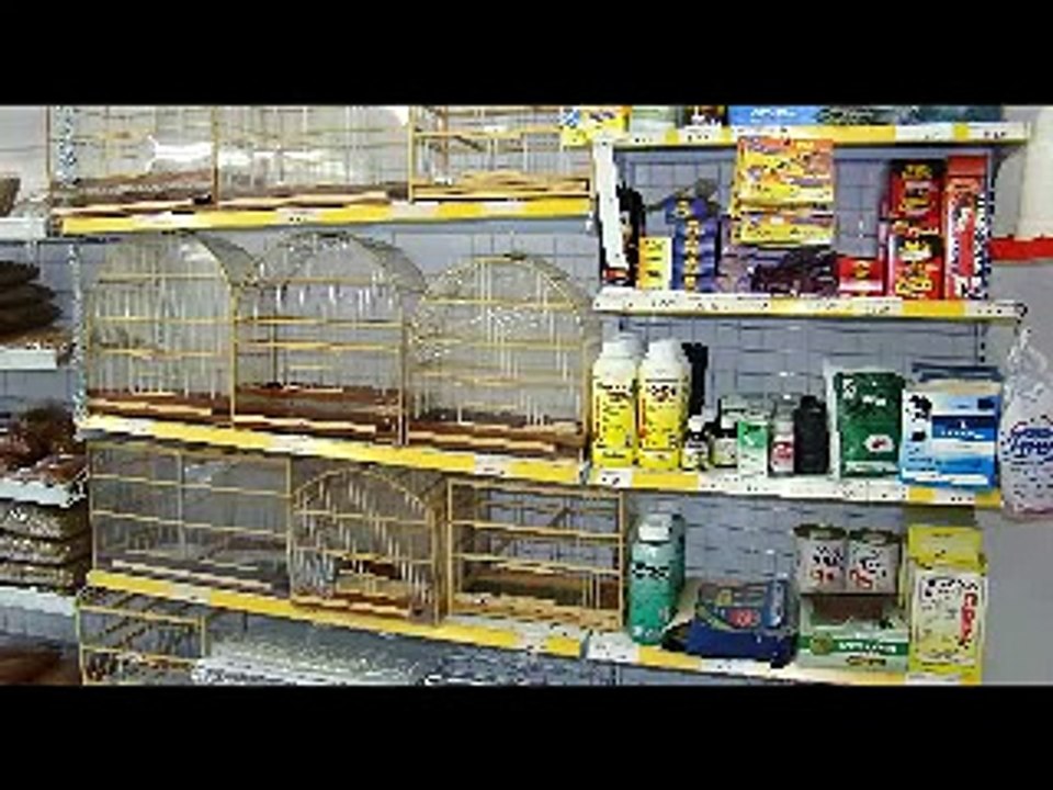 Hotel para Cães, Pet Shop Bill & Bull