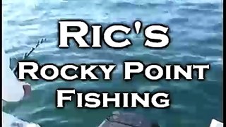 Ric's Rocky Point Fishing (Mako Shark - Short)