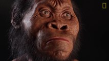 New Species Of Human Relative Discovered In South African Cave