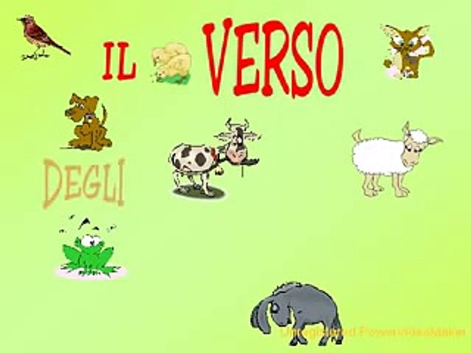 Il verso degli animali Canzoni animali zecchino d oro e cartoni animati per bambini.avi