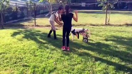 Ils ne s'attendaient pas à croiser ce chien. Mais ce qui s'est passé ensuite... Wow !