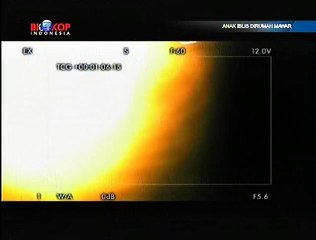 Film Bioskop Indonesia - Anak Iblis Di Rumah Mawar