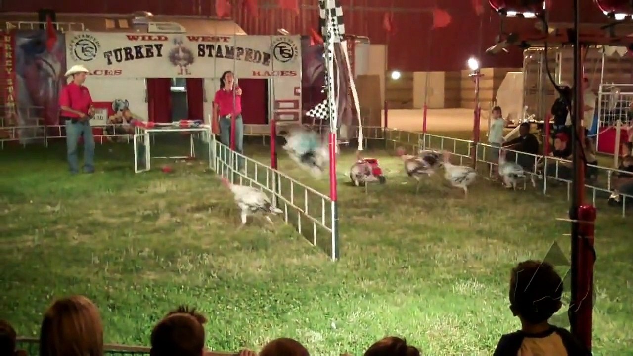 Turkey Stampede (Turkey Races)