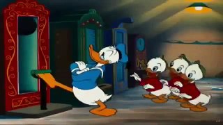Donald Duck sfx - Canvas Back Duck