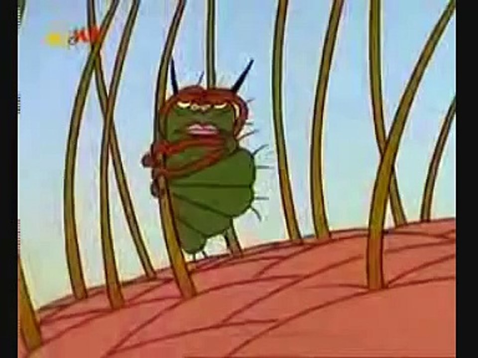 Die Kopflaus. El Piojo. Η Ψειρα. The Louse. القملة SUB