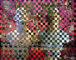 IN MEMORY OF MARCO PANTANI Il Pirata Rubacuori