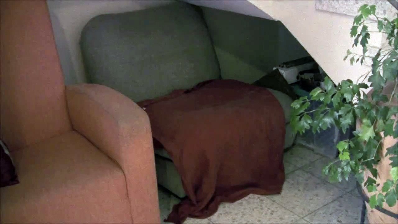 How To Prank Your Dog