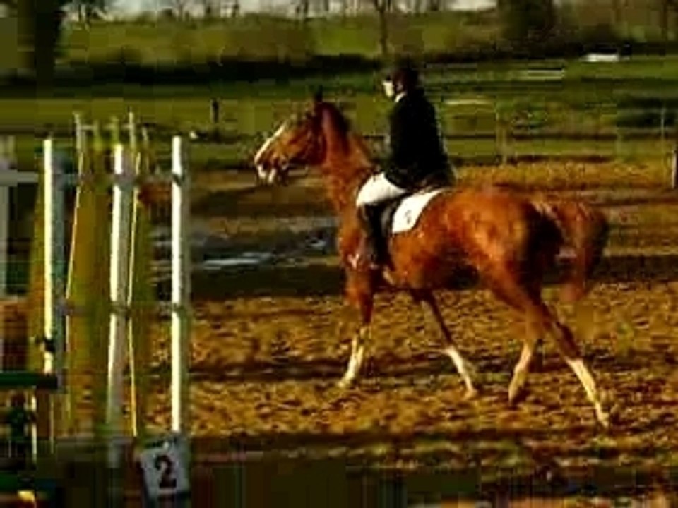 Amélie et Joly en E1 CSO