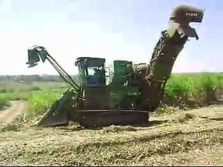 Colhedeira Fazenda Campo Grande Porto Feliz - SP