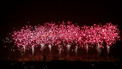 Cité de Carcassonne - Feu d'artifice (HD)