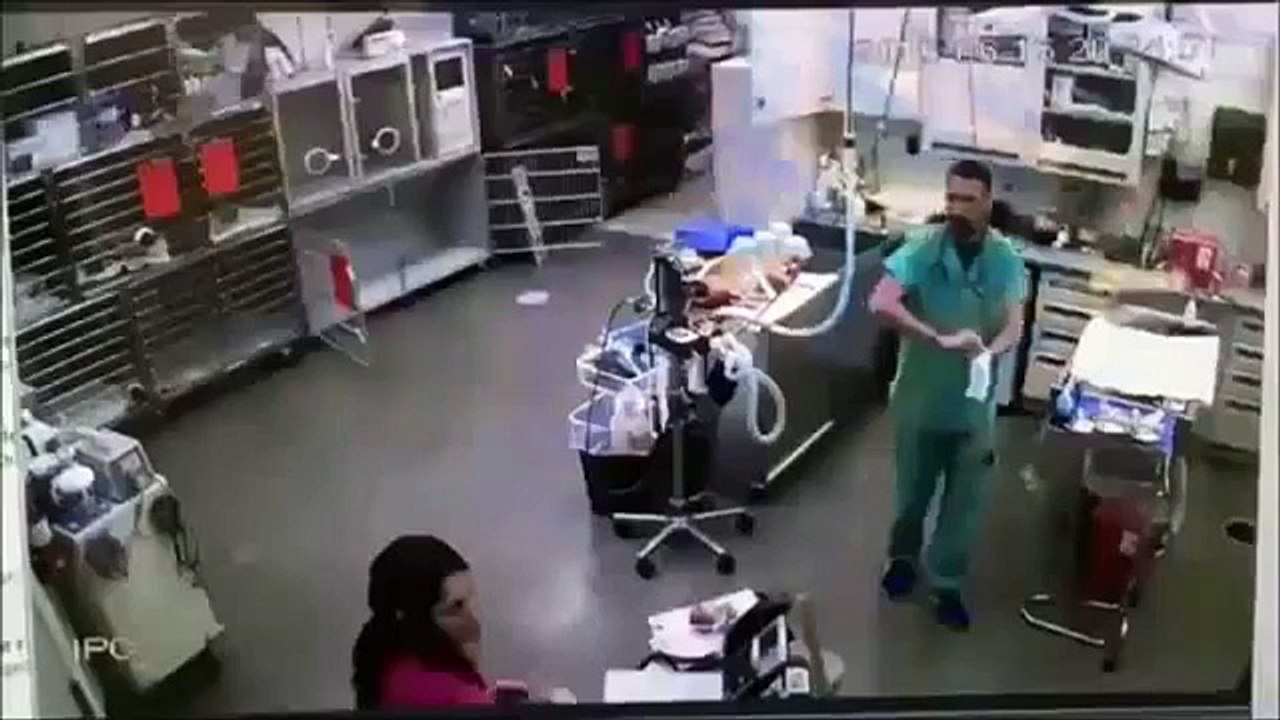 funny video   epic fail