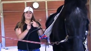 How to tack up a horse Dressage