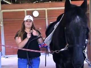 How to tack up a horse Dressage